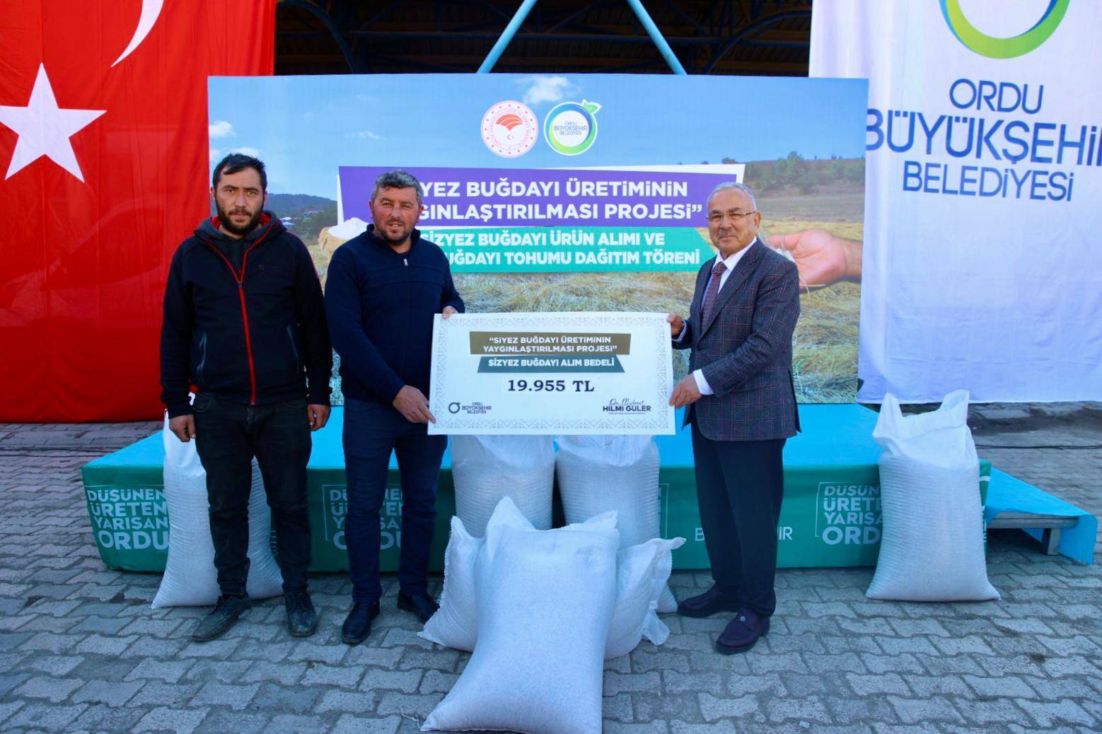 BÜYÜKŞEHİRİN SİYEZ BUĞDAYI ALIMLARI BAŞLADI